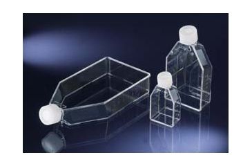 Image of Nunc Flask Easy Sterile 75CM2 CS100 156800