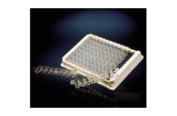 Image of Nunc Plate C8STARWELLMOD Maxi CS60 441653