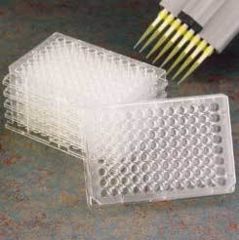 Image of Nunc Plate F96WELL Maxisorp CS180 460984