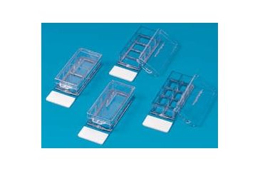 Image of Nunc Slide Chamber 2WELL Rsgls PK16 154461