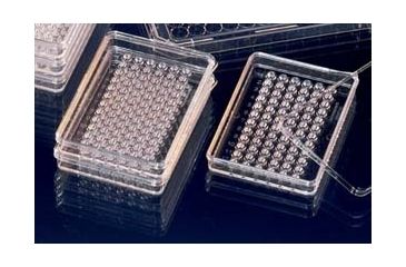 Image of Nunc Tcplate V60WELL Terasaki CS150 163118