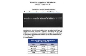 Image of Omega Bio-Tek Tissue Dna Kit D3396-02
