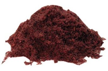 Image of Anchor Brand S3010-re Floor Sweep Red 5011110221, Unit PK