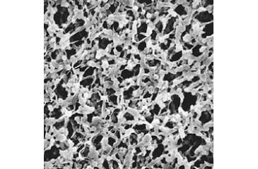 Image of Pall Filter FP200 0.2UM 47MM PK100 66477