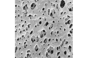 Image of Pall Filter Membrn 0.2UM 142MM PK25 66204