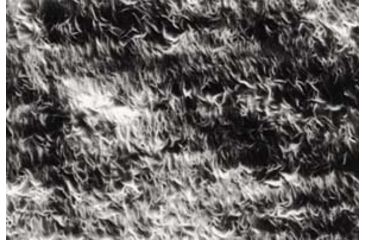 Image of Pall Fluorotrans W 10X15 Cm 10/PK BSP0157