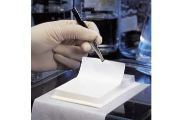 Image of Pall Transfer Membrane .45UM PK10 66594