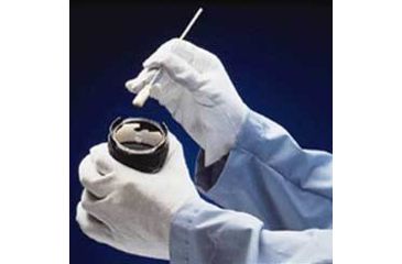Image of Protective Industrial Products Glove Cotton Mens Ltwt PK12PR 500