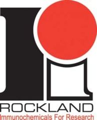 Image of Rockland Immunochemicals Alkln Phosphtse Cnjg Protein A PA00-05