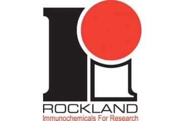 Image of Rockland Immunochemicals RABBIT-A-HEXOKINASE LGGFRA50MG 200-4159