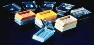 Image of Sakura Finetek Base Molds 37X24X5MM CS12 4165