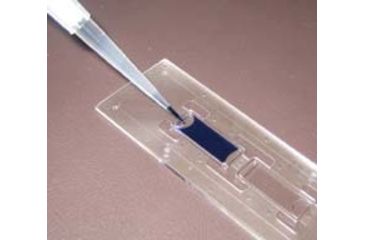 Image of SKC Films C-CHIP/DHC-S01/ST 10UM PK20 DHCS012