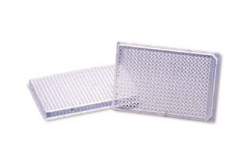 Image of Sorenson Plate Pcr 384-WELL Pr CS50 37320