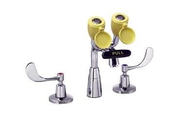Image of Speakman Comination EYEWASH+FAUCET SEF-1800