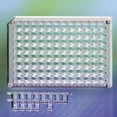 Image of Thermo Scientfic Combiplate 8WEL Blk E Bnd CS50 95029490