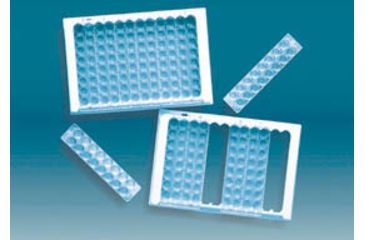 Image of Thermo Scientfic Immulon Ii 320STR/CS 12 Wells 6302