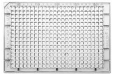 Image of Thermo Scientfic Plate Immulon 4HBX Mcrotr CS50 8755