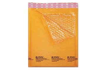 Image of United Stationers Mailer 0 Buble 6x10 We Ct250 SEL50775, Unit CT