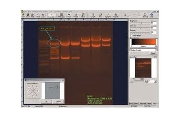 Image of UVP Software DOC-IT 1D Analysis 97-0185-02