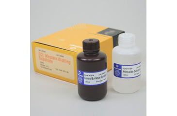 Image of VWR Ecl Western Blotting 500ml W1015, Unit EA
