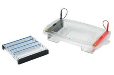 Image of VWR Maxi 20 Electrophoresis System E1120-160.75 Combs 0.75 Mm x 16-Tooth Comb