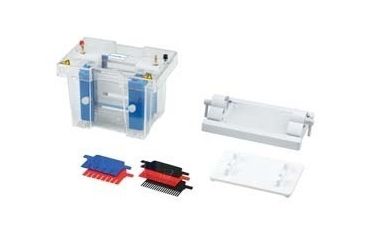 Image of VWR Mini Vertical PAGE System E2010-P-VWR Mini Vertical Page System