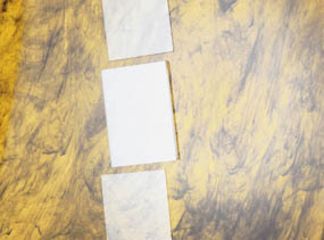 Image of Vwr Plate Elctrphrs Hoefr PK5 VWR-2204N-5