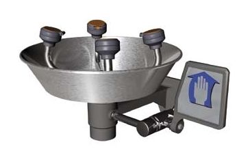 Image of Watersaver Faucet EYE/FACE Wash Wall Mounted FE724