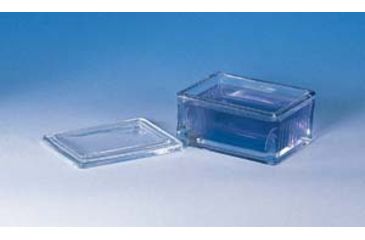 Image of Wheaton Staining Dsh 50 Slide CS=6SETS 900400