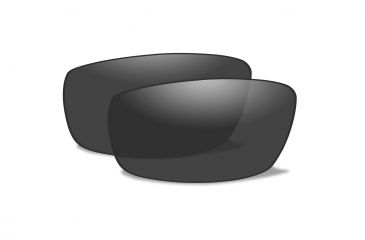 Image of Wiley X Enzo Smoke Grey Lenses, CCENZS