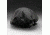 3M Head Gear Cover PK1 L-183
