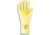 Ansell Healthcare Glove 17MIL NEOPR/LTX SZ8 PK12 193953