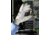 Ansell Healthcare Glove Knit 11-600 7 PK12 205651