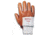 Ansell Healthcare Glove Nit Coat 28-348 10 PK12 216135
