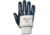 Ansell Healthcare GLV,NITRASAFE(28-346)PK12PR 10 216132