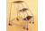 Ballymore Company Ladder 5 Step W/HANDRAIL H518RSU