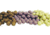 Bio-Serv MINI-TREATS Supreme Pc PK1000 F05475-1