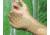 Cardinal Health CR100BT Br Ltx Glove 6.5 400PR 2Y4102