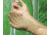 Cardinal Health Glove CR100BT Br Ltx 8 CS400PR 2Y4105