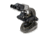 Carson 40x-1600x Table Top Microscope w/Universal Smartphone Adapter for Microscopes, Black/Gray, MS-160SP
