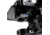 Carson Optical Advanced 40x-1600x LED Lit Binocular Compound Microscope, Black, 8.5 in x 6.9 in x 14.1 in, MS-170