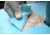 CBI Polymers Decongel 20L 1101-0020-K02