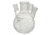 Chemglass Flask 1L 45/50CN 24/40SNS CG-1532-47