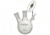Chemglass Flask Reaction 2NK 250ML 1 AF-0530-22