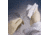 Contec Wipe Psat Knit 70% Ipa CS1200 PSCS0006