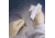 Contec Wipe Psat Pnhs 100%IPA CS750 PSPN0031