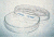 Corning DISH,PETRI Pyrex PK12 150X15MM 3160-150