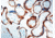 Diagnostic Biosystems Egfr CONC. Mab MOB 267