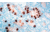 Diagnostic Biosystems Gastrin Rtu Polyclonal Ab PDR 027