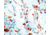 Diagnostic Biosystems Gfap CONC. Mab MOB 199